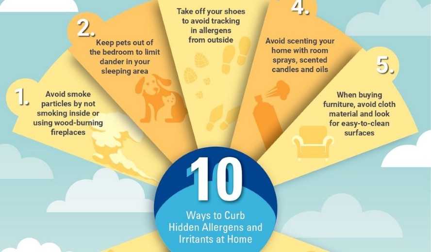 hidden allergens at home infographic