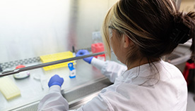 Scientist working in our laboratories