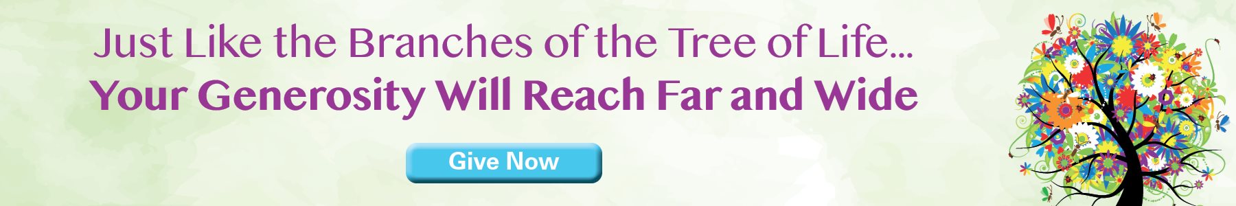 Make a Donation Ask